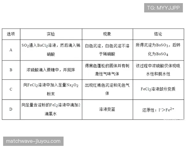 边线规则全面拆解：何时算出界，裁判如何精准判定？